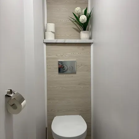 Cozy In הפסלאו